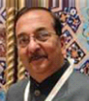 Mr. Dinesh Lohia