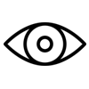 vision